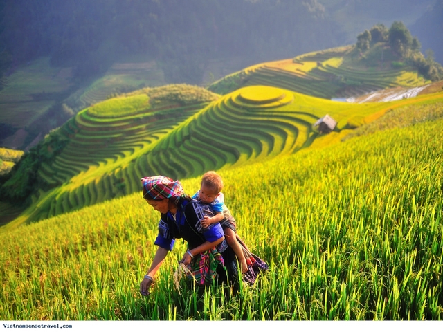 Northwest Vietnam Tour 6 Days